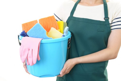Cleaner removing pet stain odour from carpet