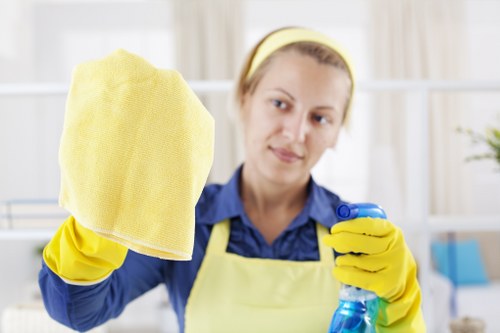 Curtain cleaning in a bright living room