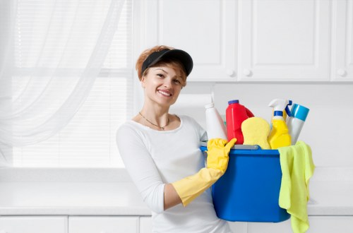 Technician performing deep mattress cleaning service
