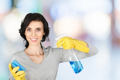 Mattress stain removal and odor treatment close-up