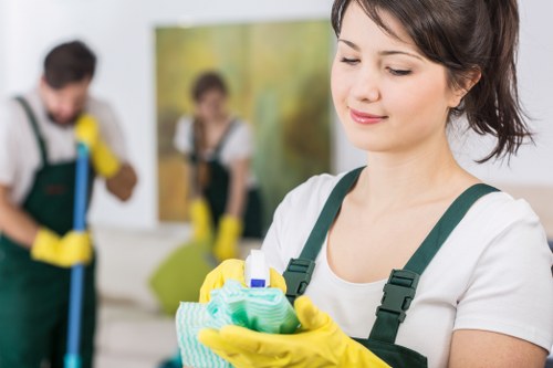Cleaning pet stain odour from fabric furniture
